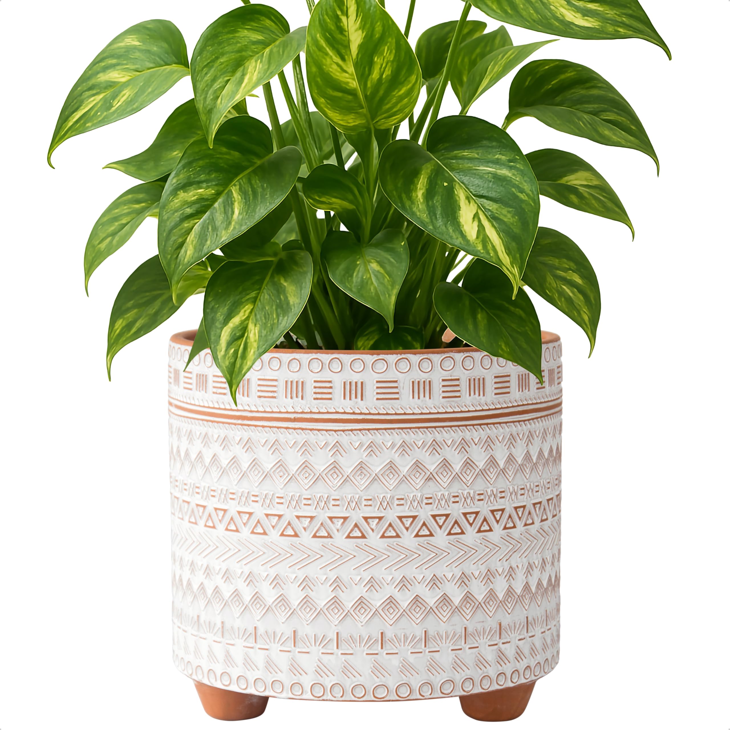 Amazon.com : D'vine Dev 8 Inch Terracotta Planter Pot